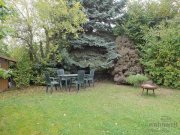 Kassel (EF0850_M) Kassel-Stadt: Jungfernkopf, neu sanierte und neu möblierte 2-Zimmer-Wohnung mit Garten, WLAN inklusive Wohnung