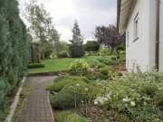 Knüllwald (EF1081_M) Hersfeld-Rotenburg: Knüllwald, preiswertes möblierter Apartment mit Terrasse in ruhiger Wohnlage Wohnung mieten