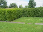 Holzminden 2-Zimmer-Mietwohnung zu vermieten....Erdgeschoss Wohnung mieten
