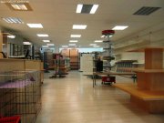 Rheine Ladenlokal in TOP-Lage von Rheine Gewerbe mieten