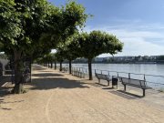 Bonn BONN BEUEL, direkte Rheinlage, top 4 Zi. Wohnung ca. 156 m² Wfl. Sonnenbalkon, Aufzug, Kfz. Stellpl. Wohnung mieten