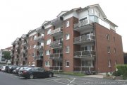 Bonn Charmantes Sonnen-Appartement mit Balkon und Tiefgaragenstellplatz in begehrter Rheinlage Wohnung mieten