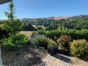 Pluwig schöne, neuwertige 3 Zimmer Küche, Bad, Garage große Terrasse, mit großem Garten Wohnung mieten