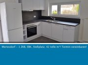 Mertesdorf Mertesdorf * 1 ZKB, EG, renoviert, incl. Bosch EBK & Stellpl., Neuwertig - 42 m² Wohnqualität * sofort Wohnung mieten