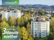 Hagen 3 Monate mietfrei: Frisch sanierte 2 Zimmer-Ahorn-Luxuswohnung im Wohnpark Mozartstraße! Wohnung mieten