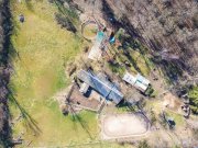 Seligenstadt DIETZ: Reitgelände mit Stallungen für 13 Pferdeboxen auf 1,5 ha zu vermieten! Nur 20 Min von FFM! Gewerbe mieten