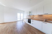 Münster (Landkreis Darmstadt-Dieburg) DIETZ: NEUBAU 3-Zimmer-Wohnung im 2. Obergeschoss mit herrlichem Weitblick - Feldrandlage! Wohnung mieten