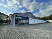 Waldfischbach-Burgalben Lager/Produktion/Handelsfläche - ab 300m2 TEILFLÄCHEN Gewerbe mieten