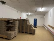 Waldfischbach-Burgalben Lager/Produktion/Handelsfläche - ab 300m2 TEILFLÄCHEN Gewerbe mieten