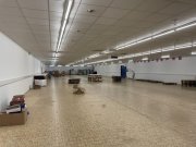 Waldfischbach-Burgalben Lager/Produktion/Handelsfläche - ab 300m2 TEILFLÄCHEN Gewerbe mieten