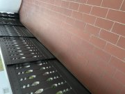 Waldgrehweiler Dachgeschosswohnung Wohnung mieten