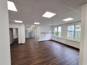 Mannheim ATIK: Helle, moderne Bürofläche im Erdgeschoss - provisionsfrei Gewerbe mieten