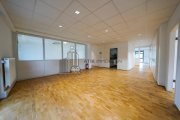 Heidelberg ATIK: Repräsentative, lichtdurchflutete Büroeinheit mit Klimatisierung und Top-Lage – provisionsfrei Gewerbe mieten