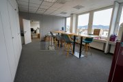 Heidelberg ATIK: Büroflächen in verkehrsgünstiger Lage mit Dachterrasse Gewerbe mieten
