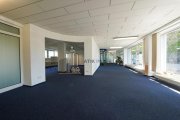 Heidelberg ATIK: Helle und funktionale Büro-/Schulungsräume im Erdgeschoss - provisionsfrei Gewerbe mieten