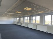 Heidelberg ATIK: Moderne, individuell gestaltbare Arbeitsplätze mit attraktivem P-L-Verhältnis – provisionsfrei Gewerbe mieten