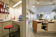 Sandhausen ATIK: Repräsentative Einzelhandelsfläche in Top-Lage im Ortskern Gewerbe mieten