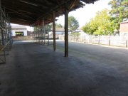 Laudenbach (Rhein-Neckar-Kreis) Büroräume + Lagerhallen + Freiflächen vielseitig nutzbar Gewerbe mieten