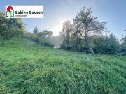 Remshalden Dornrösschen Garten - Prinz gesucht! Grundstück mieten