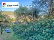 Remshalden Dornrösschen Garten - Prinz gesucht! Grundstück mieten