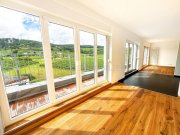 Bad Bergzabern Helle, großzügige 3-Zimmer Penthouse mit traumhaften Fernblick - zentrale Lage Wohnung mieten