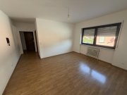Bad Bergzabern Helle, neu renovierte Wohnung mit Südterrasse in zentraler Lage-inkl. Tiefgaragenstellplatz Wohnung mieten