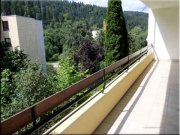 Triberg im Schwarzwald Haustiere erlaubt! Sonnige 3 Zimmer Whg mit Küche Riesen Sonnen Terrasse und top Ausblick Wohnung mieten