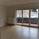 Herrischried 1,5 Zi.-Apartment mit EBK und großem Balkon Wohnung mieten