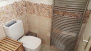 Herrischried 1,5 Zi.-Apartment mit EBK und großem Balkon Wohnung mieten