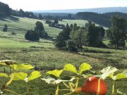 Lenzkirch Mahamudra Wohnung mieten