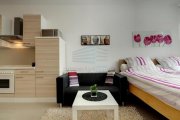 München Sehr schönes möbliertes 1-Zimmer Appartement mit 2 Schlafplätzen in München Schwabing-Nord / Milbertshofen Wohnung mieten