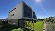 Leutkirch im Allgäu Hochwertige 2-Zi-Wohnung mit überdachter Terrasse in bester Lage von Leutkirch zu vermieten Wohnung mieten