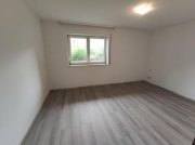 Weisendorf 2 Zi. Souterrain Wohnung mit Terrasse und Garten (optional) Wohnung mieten