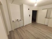 Weisendorf 2 Zi. Souterrain Wohnung mit Terrasse und Garten (optional) Wohnung mieten