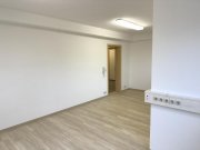 Pommersfelden Haustier möglich - 2 Zi. Wohnung in Pommersfelden OT Wohnung mieten
