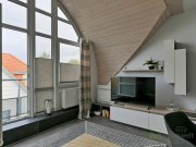 Erfurt (EF1083_M) Erfurt: Löbervorstadt, möbl. exklusives Apartment in bevorzugter Wohnlage mit Klimaanlage und Balkon Wohnung mieten