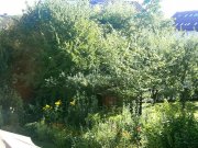  Helle, ruhige 2 1/2 - Zimmer - Wohnung in Kassel - Niederzwehren Wohnung mieten