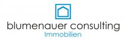 Logo Blumenauer Consulting GmbH & Co.KG